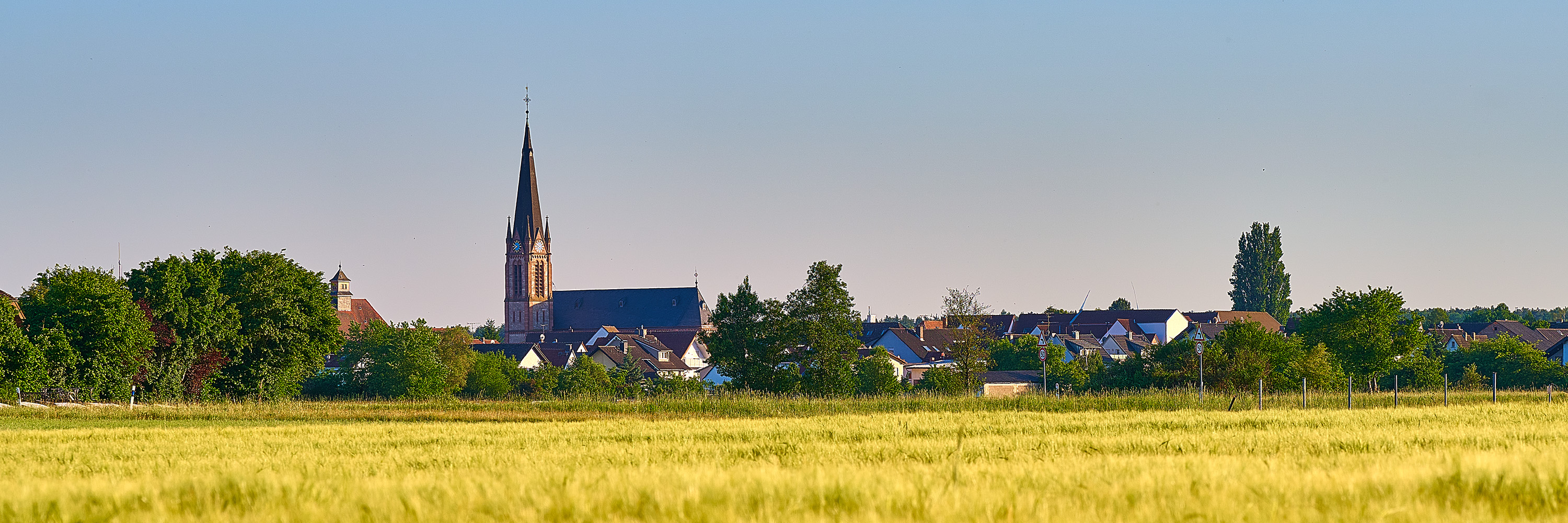 Gelbes Getreidefeld vor der Stadtbild Ober-Rodens mit St. Nazarius 