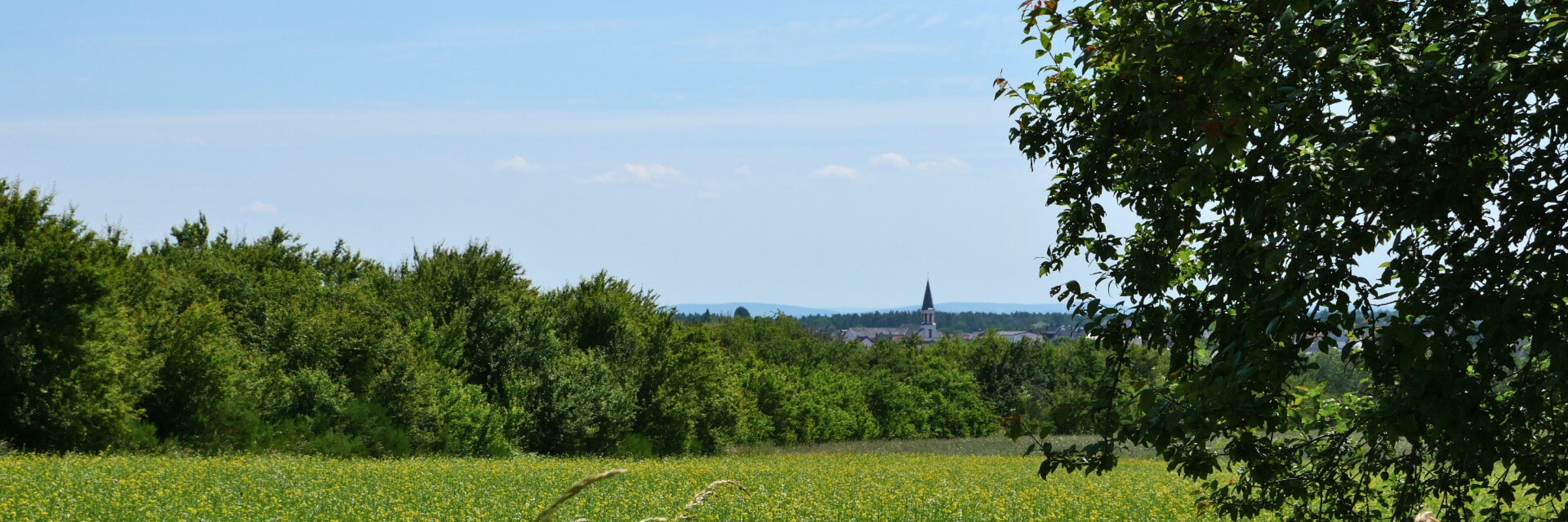 Haushalt und Berichte
