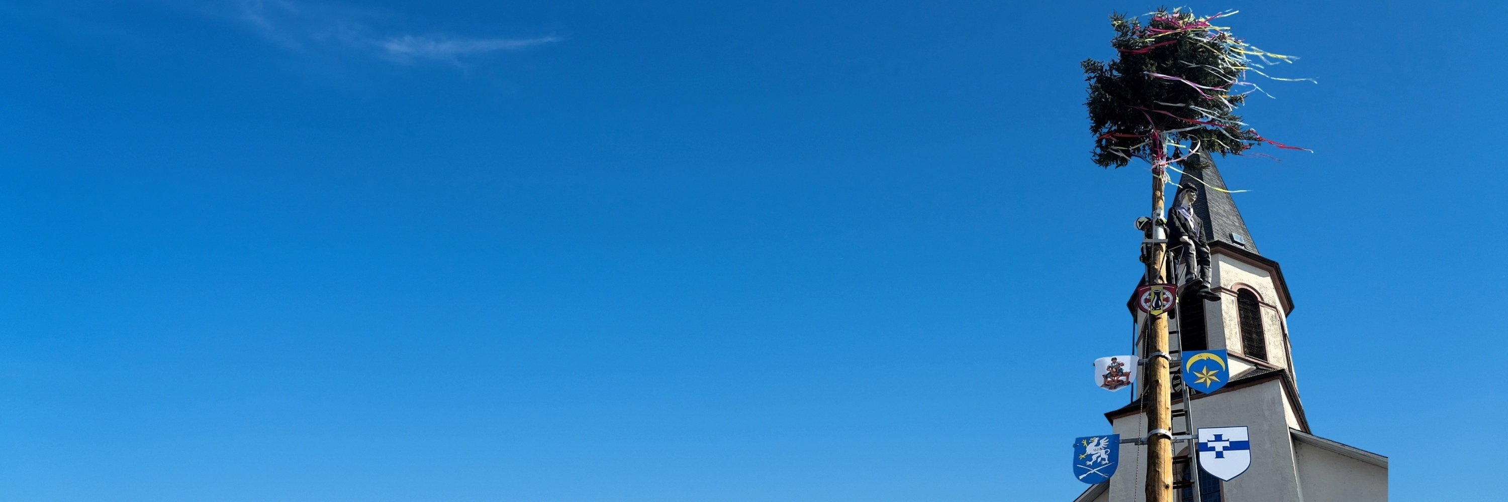Blick auf einen hohen Kerbbaum mit mehreren Wappen und Stroh-Figur unter der Tannenspitze, der vor einem Kirchturm und blauem Himmel zu sehen ist.