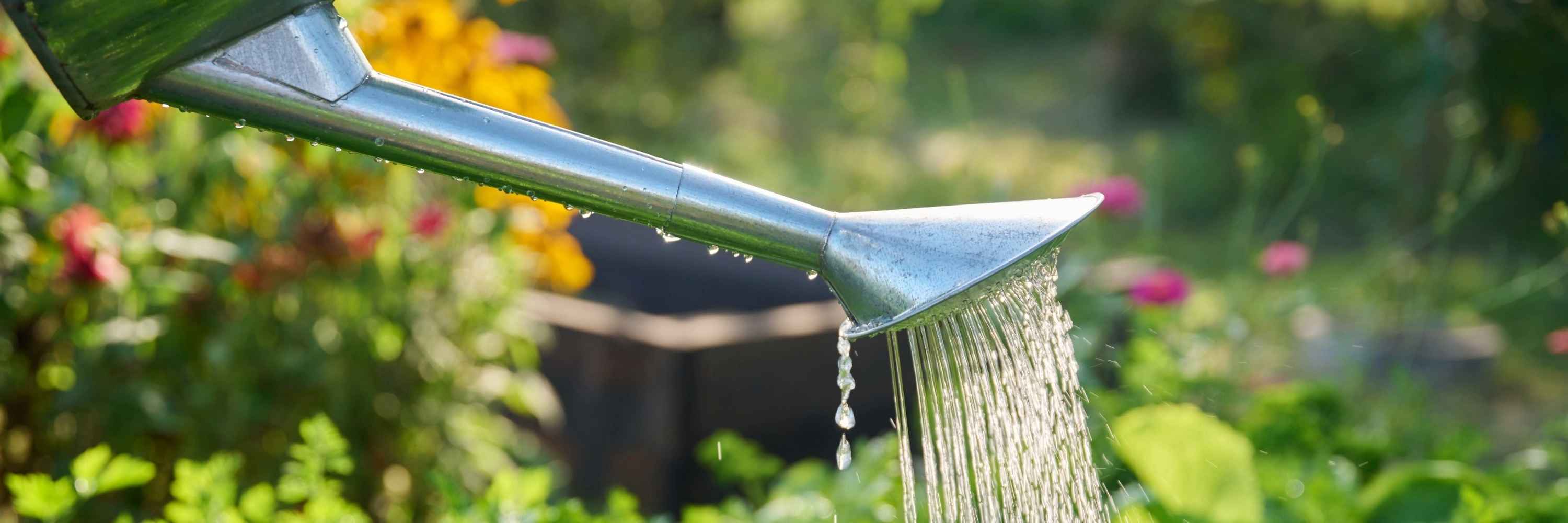 Sonderwasserzähler als Gartenwasserzähler