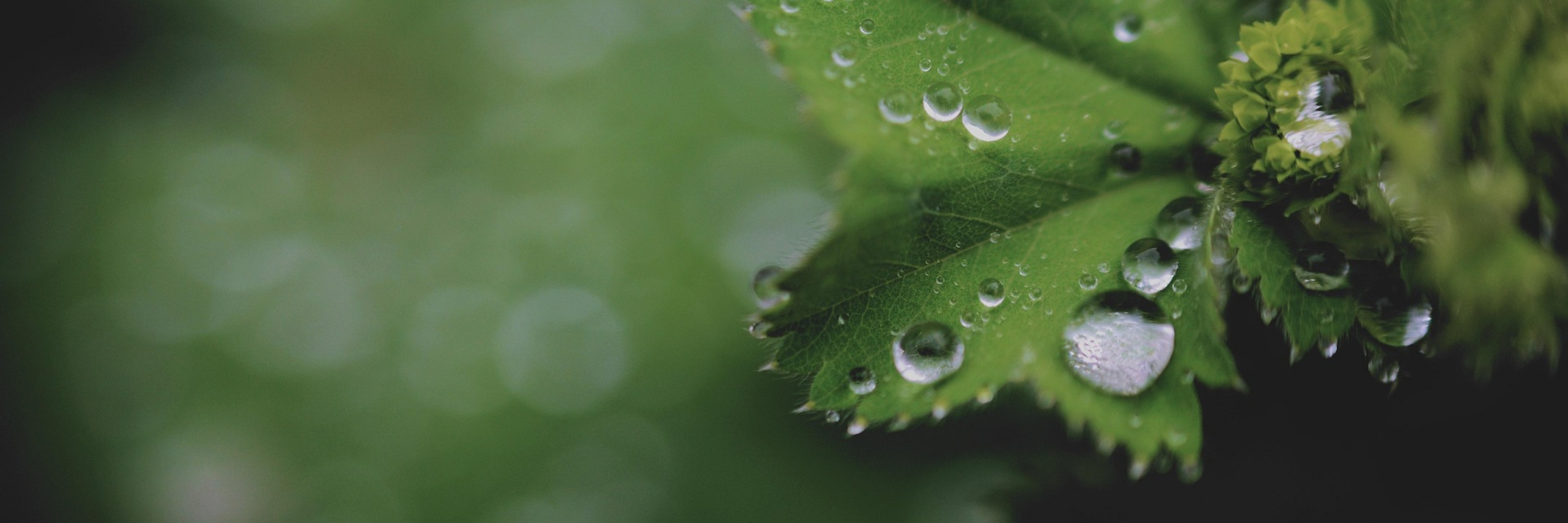 Informationen für Angehörige