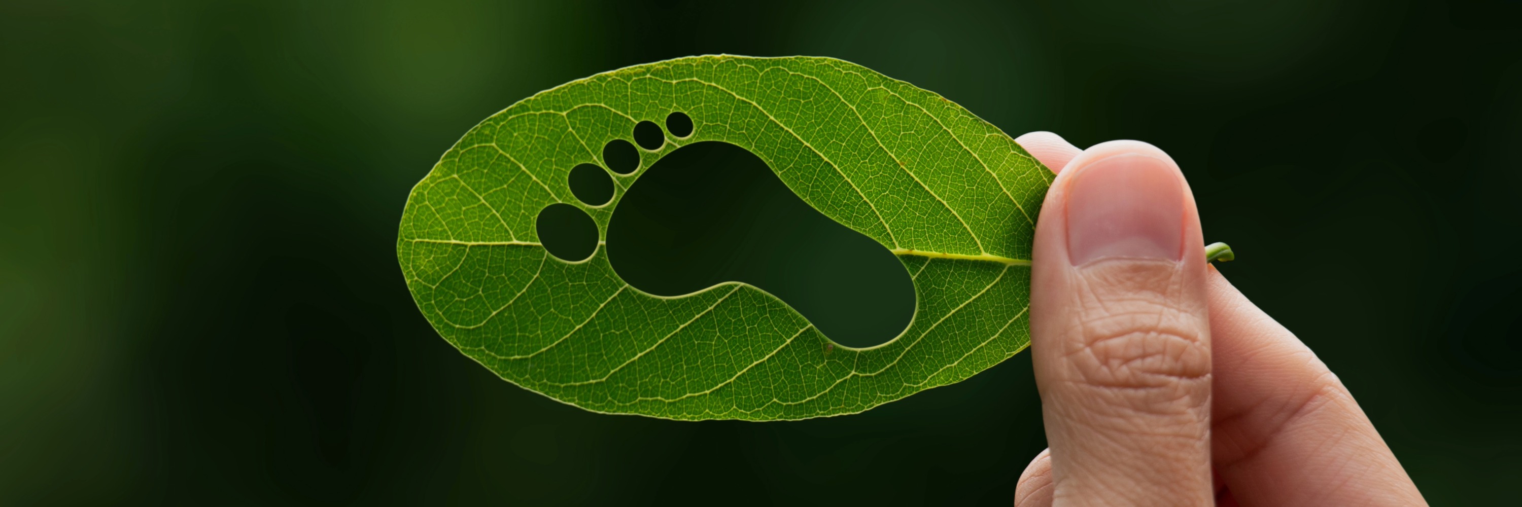 Nachhaltiges Wirtschaften