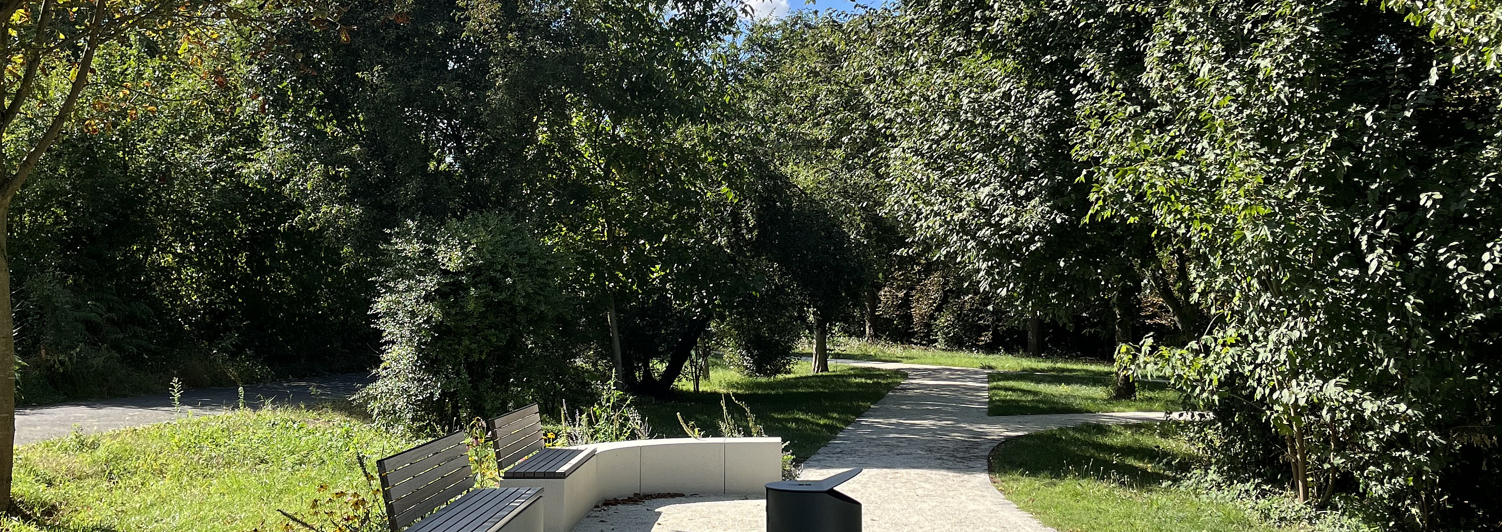 Aufwertung und Umgestaltung Park am Entenweiher