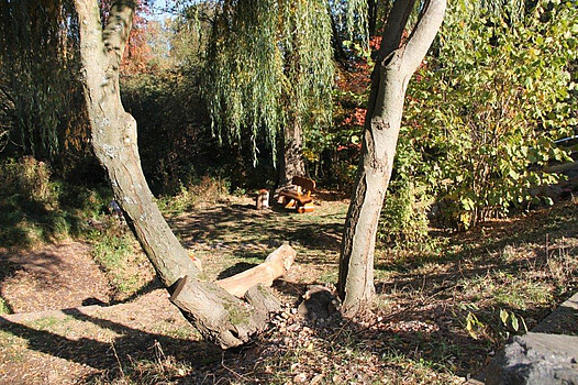 Rodauquelle mit Sitzbank und Bäumen