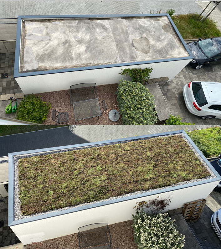 Garagendach mit Betonfläche unten und oben dasselbe Garagendach mit Begrünung, die durch die Förderung gefördert wurde.